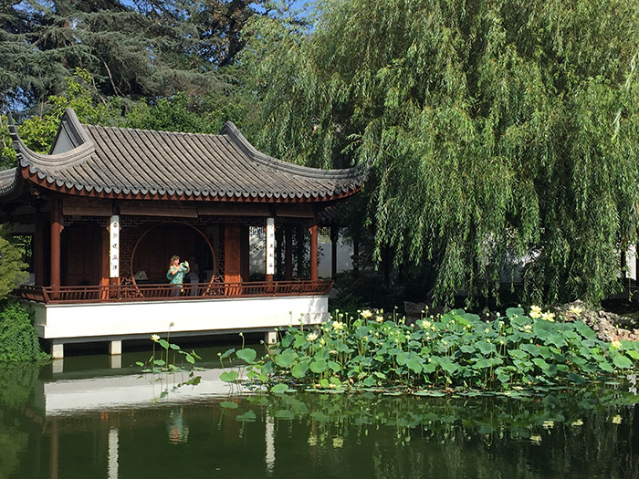 Photogenic lotuses make for great close-ups. The Love for the Lotus Pavilion is an ideal spot for grabbing a few snapshots of surrounding scenery. Photo by Christine Quach.