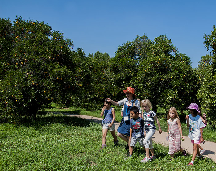 Instructor Emily Earhart leads children through The Huntington’s historic Valencia orange groves to pick fruit. Photo by Deborah Miller.