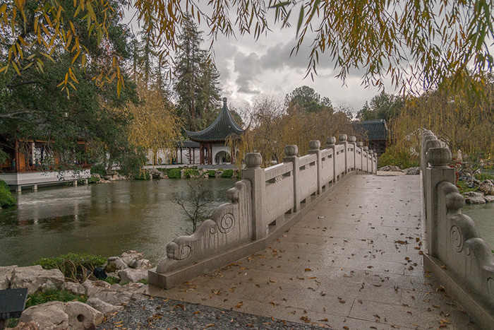 With systems in place to harvest rainwater and prevent flooding in areas like the Chinese Garden, The Huntington is readier than ever to weather the storm. Photo by Martha Benedict.