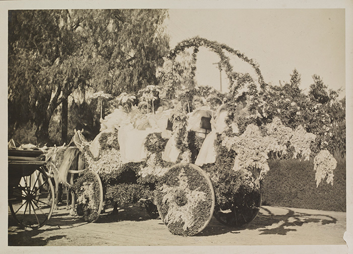 Flowers were used to create stars that decorated the wheels of the float and the the rear of the trellised carriage, 1905. Jack London Collection. The Huntington Library, Art Collections, and Botanical Gardens.