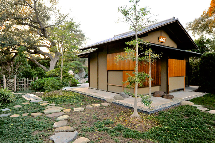 Takuhiro Yamada envisioned mature Japanese pine trees framing the Seifu-an teahouse. When he couldn’t find them, he chose two mochi trees (Ilex integra), a type of holly native to central and southern Japan, seen here to the left of the structure. Photo by Andrew Mitchell.