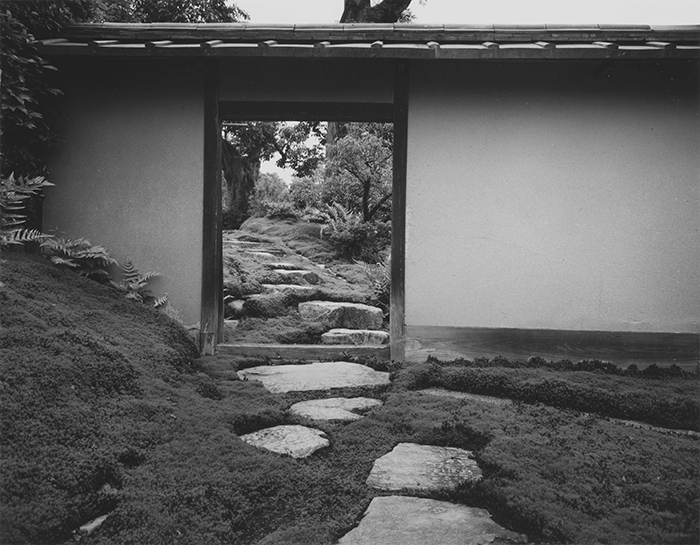 Yasuhiro Ishimoto, Stepping-stones from the Imperial Carriage Stop to the Gepparo, Katsura Imperial Villa, 1954, gelatin silver print © Kochi Prefecture, Ishimoto Yasuhiro Photo Center.