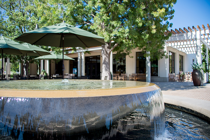 The fountain in the Avery and Andy Barth Family Grove. Photo by Kate Lain.