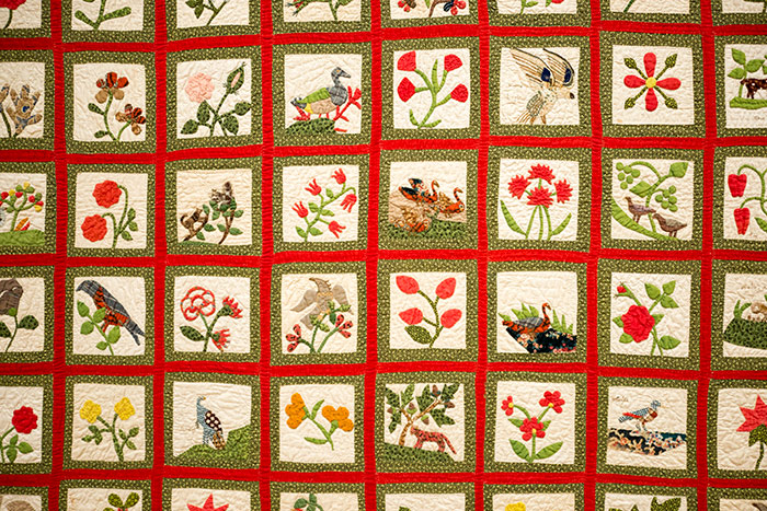 Maker unknown, Album Quilt (detail), ca. 1850, cotton. Jonathan and Karin Fielding Collection. Photo by Kate Lain.