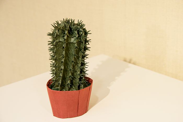 Cactus, Opus 680 was made from a single sheet of paper. Photo by Kate Lain.