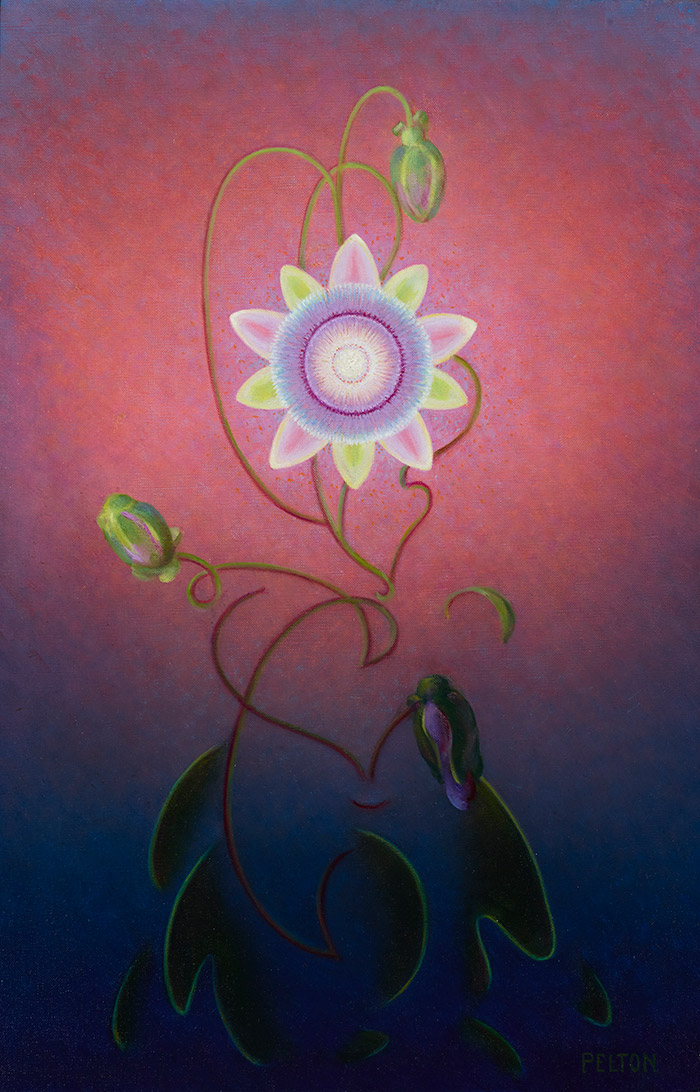 Agnes Pelton, Passion Flower, ca. 1945, oil on canvas. The Huntington Library, Art Collections, and Botanical Gardens.