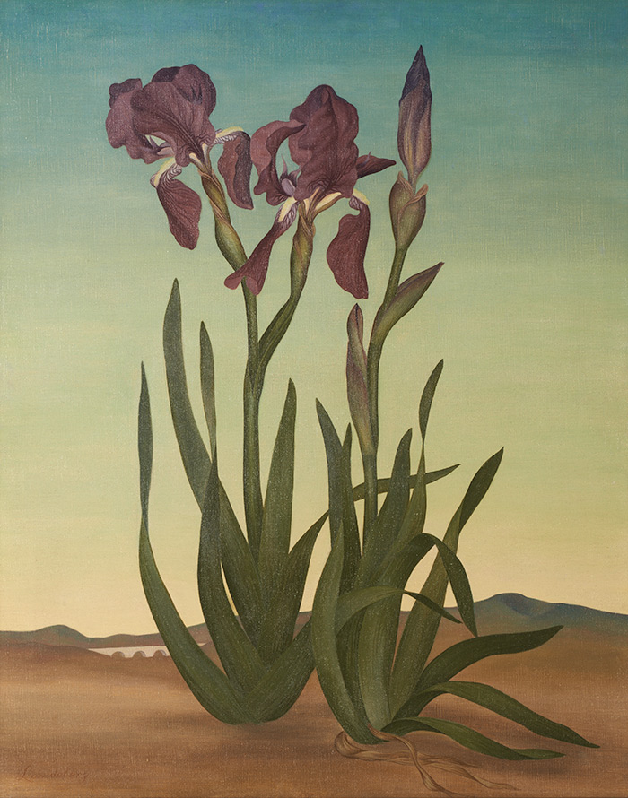 Helen Lundeberg, Irises (The Sentinels), 1936, oil on canvas. The Huntington Library, Art Collections, and Botanical Gardens.