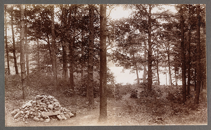 Thoreau’s cairn at Walden Pond, looking west, ca. 1895. Bronson Alcott laid the second stone in this cairn, after watching his friend Mary Newbury Adams lay the first stone during a visit to Walden in 1872. The cairn, which stands near the site of Thoreau’s house, continues to grow daily. Correspondence of Prudence Ward and Anne J. Ward, 1839–1906. The Huntington Library, Art Collections, and Botanical Gardens.