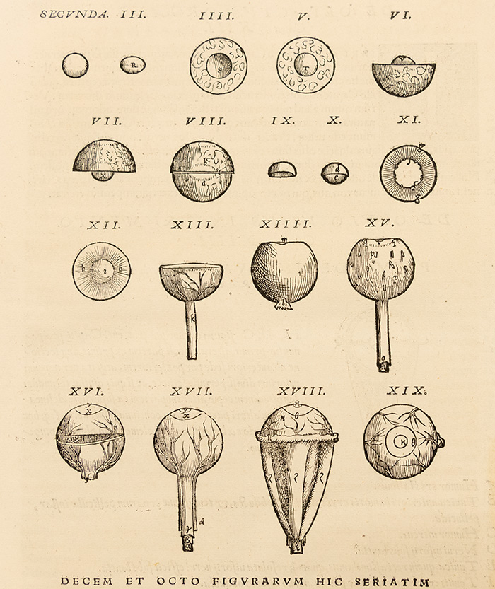 Detail from Vesalius’s idealized depiction of the shapes and sizes of the parts of the eye, and how they fit together. From Andreas Vesalius, De humani corporis fabrica (On the Fabric of the Human Body), 1543. The Huntington Library, Art Collections, and Botanical Gardens. Photo by Kate Lain.