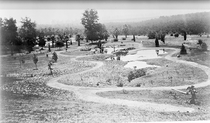 1906 photograph of the Lily Ponds original design