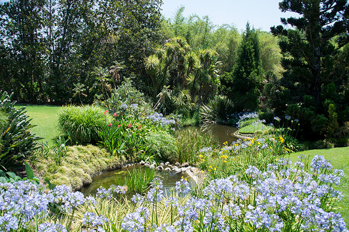 Two of the small ponds as they look today