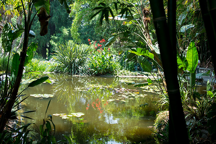 Large pond