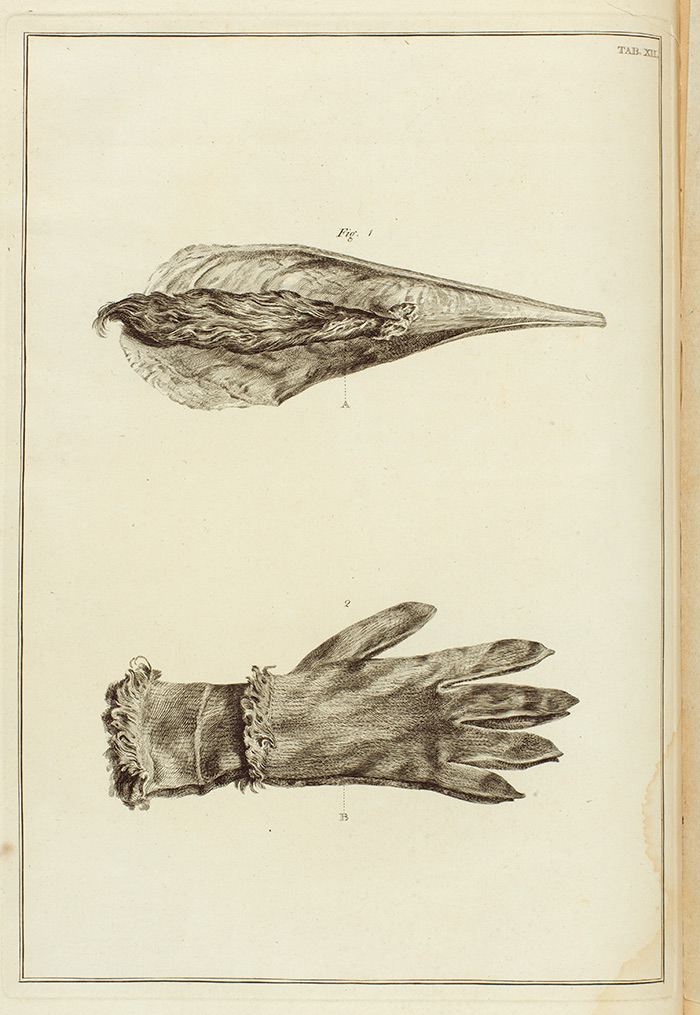 Illustration of a Pinna marina shell, with its “beard,” above a pair of men’s gloves made in Andalusia out of a Pinna marina beard. Jan and Andreas van Rymsdyk, Museum Britannicum, London, 1778, plate XII. The Huntington Library, Art Collections, and Botanical Gardens.