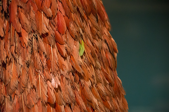 Most of our knowledge about 16th and 17th century Tupinambá feathered capes comes from accounts written by European observers, not the Tupinambá people themselves.