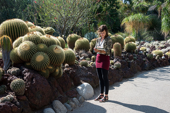 Levy takes notes on the golden barrel cacti (Echinocactus grusonii) in The Huntington’s Desert Garden. Photo by Kate Lain.