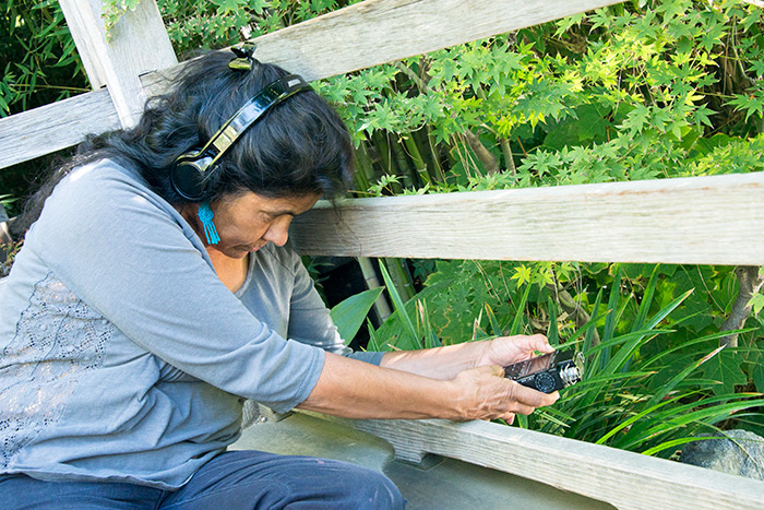 Artist Olivia Chumacero records the sound of a waterfall in The Huntington’s Japanese Garden to include in her video work. Photo by Kate Lain.