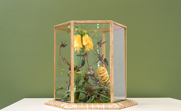Taxidermist Allis Markham chose this lush, tropical flora based on an article that the novelist Charles Dickens wrote after seeing the original 1851 hummingbird cases. Photo by Kate Lain.