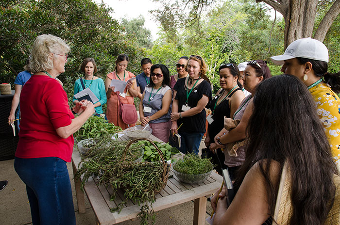 In the Herb Garden, docent Jane Leese instructs teachers selected for the first Huntington Voices teacher institute on how to dry herbs and create sachets. Photo by Lisa Blackburn.