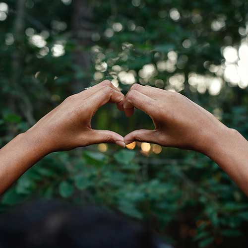Heart Hands by Arif Mills