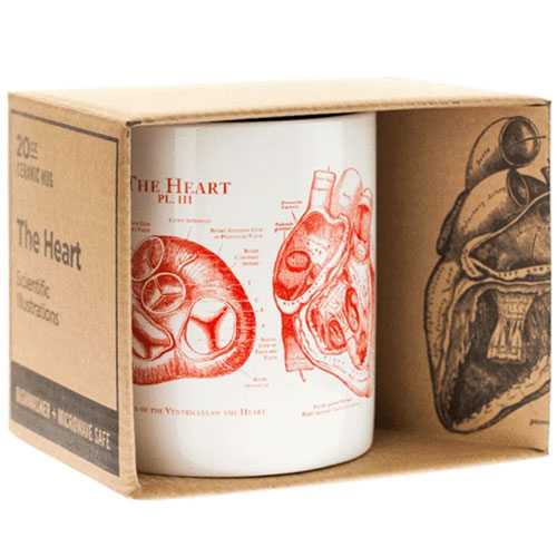 anatomic heart mug