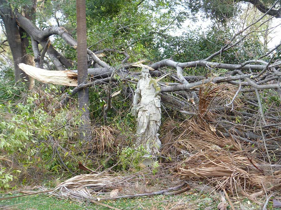 Fallen trees surrounding an 18th century statue