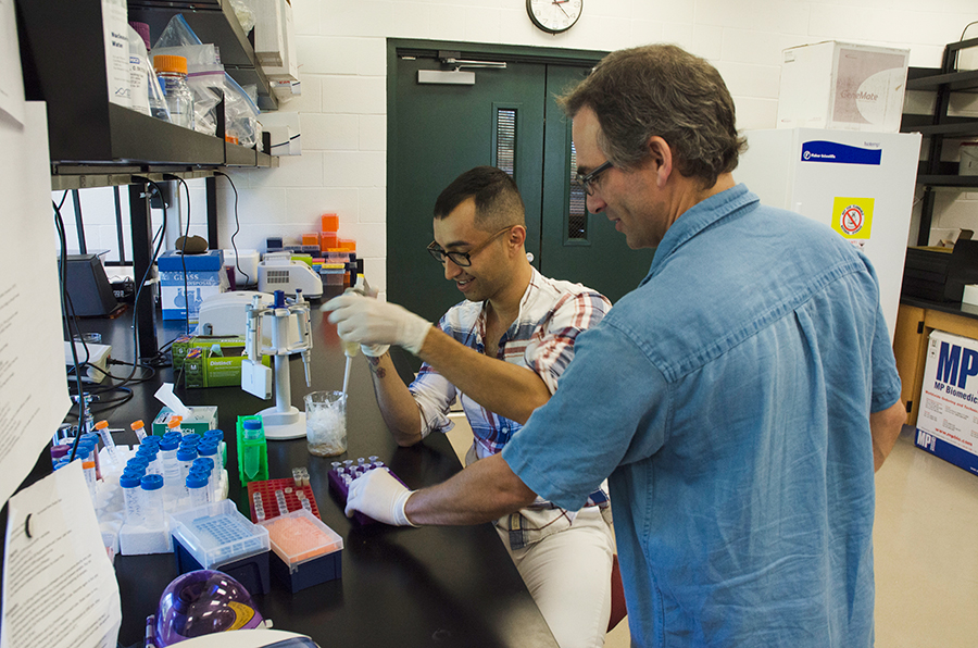 Brian Dorsey analyzing cycad DNA with Pasadena Community College student Armando Serrano