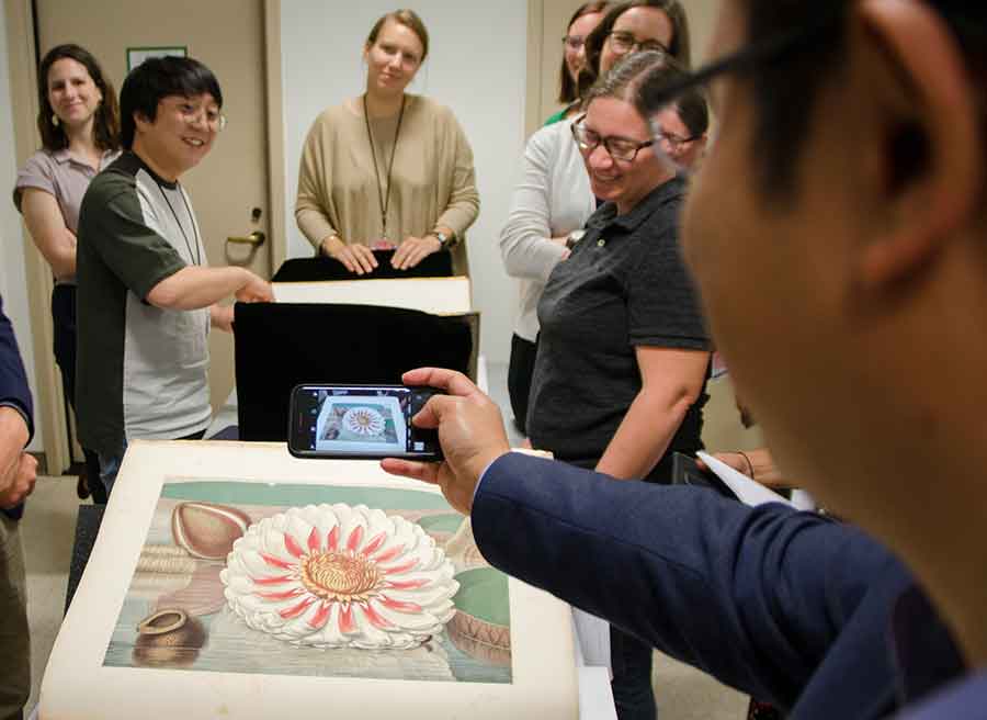 A summer institute participant snaps The Great Water Lily of America, 1854, a chromolithograph by John Fisk Allen (1785–1865). Photo by Lisa Blackburn.