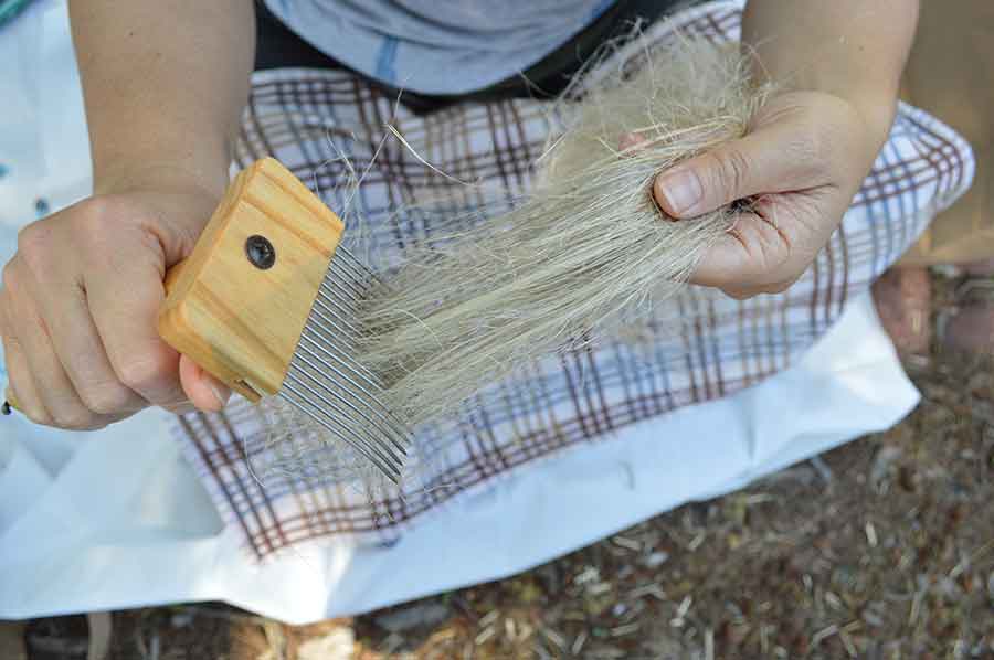 Hackling flax with a comb helps makes the plant fibers smooth, parallel, and of equal length. Photo by Kelly Fernandez.