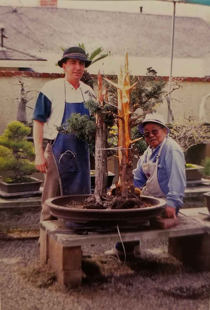 Jack Sustic (left) assisted John Naka (right) in replicating his famous bonsai, “Goshin,” in 2000. An earlier replica of 