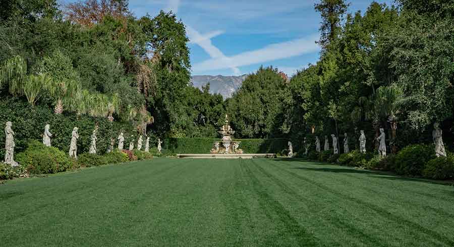 The North Vista at The Huntington, after the planting of 22 new Livistona decora palm trees. Photo by Jessica Pettengill.