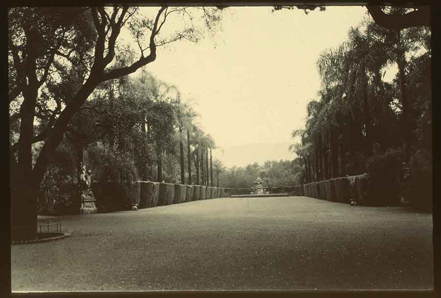 The North Vista, ca. 1920. The Huntington Library, Art Museum, and Botanical Gardens.