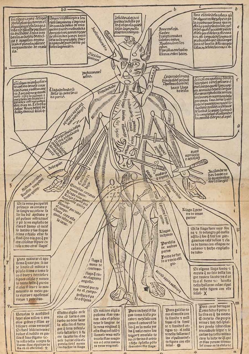 The so-called “wound man” first appeared as early as the 14th century in manuscript form and was first printed in the Fasciculus Medicinae. The illustration shown here is from a remarkably rare vernacular Spanish translation of the Fasciculus from The Huntington’s collections that apparently only survives in six libraries throughout the world. Joannes de Ketham (active 15th century), Epilogo en medicina y cirurgia co[n]venie[n]te ala salud, 1495. The Huntington Library, Art Museum, and Botanical Gardens.