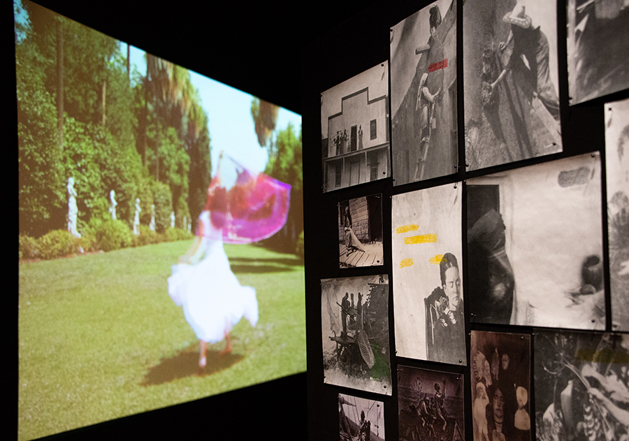 View of Carolina Caycedo's artwork
