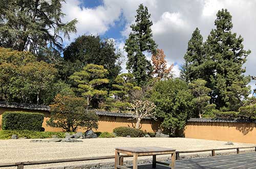 Zen Court